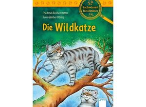 9783401715735 - Sachwissen für Erstleser   Die Wildkatze - Friederun Reichenstetter Gebunden