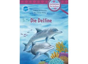 9783401718347 - Die Delfine - Friederun Reichenstetter Gebunden