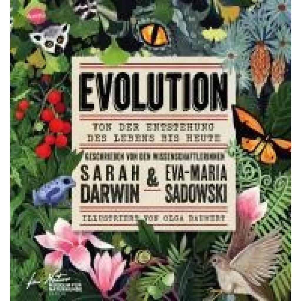 9783401720654 - Darwin Sarah EVOLUTION Von der Entstehung des Lebens bis heute
