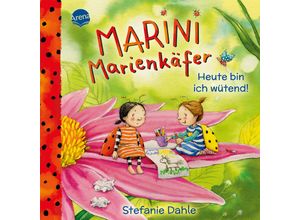 9783401721002 - Marini Marienkäfer Heute bin ich wütend! - Stefanie Dahle Pappband