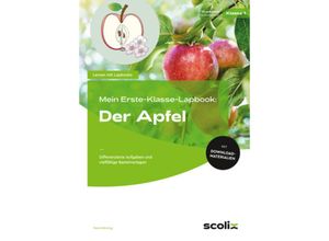 9783403107682 - Mein Erste-Klasse-Lapbook Der Apfel - Petra Mönning Geheftet