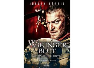 9783404189878 - Jürgen Bärbig - GEBRAUCHT Wikingerblut – Aufstand der Pikten (Wikinger-Krieger-Reihe Band 3) - Preis vom 12112023 060208 h