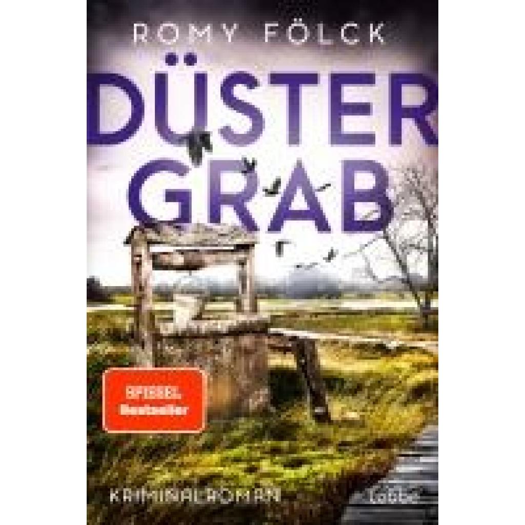 9783404192977 - Fölck Romy Düstergrab