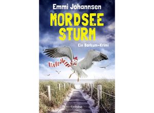 9783404193158 - Mordseesturm   Caro Falk Bd5 - Emmi Johannsen Taschenbuch