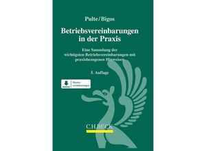 9783406738234 - Betriebsvereinbarungen in der Praxis - Peter Pulte Bianca Bigos Gebunden