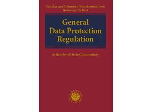 9783406743863 - General Data Protection Regulation - Indra Spicker Leinen