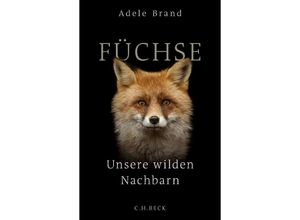 9783406751134 - Füchse - Adele Brand Gebunden