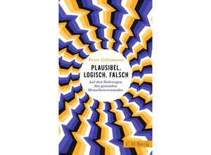 9783406814259 - Plausibel logisch falsch - Peter Gritzmann Gebunden