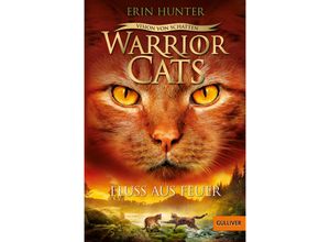 9783407812339 - Fluss aus Feuer   Warrior Cats Staffel 6 Bd5 - Erin Hunter Taschenbuch