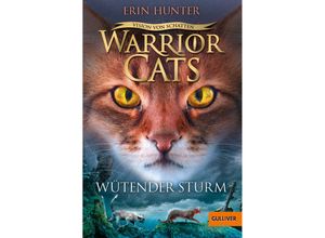 9783407812667 - Wütender Sturm   Warrior Cats Staffel 6 Bd6 - Erin Hunter Taschenbuch