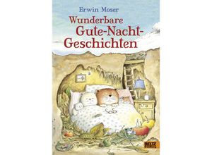 9783407821683 - Wunderbare Gute-Nacht-Geschichten - Erwin Moser Gebunden