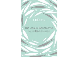 9783417020304 - Die Jesus-Geschichte - Dallas Jenkins Amanda Jenkins Steve Laube Gebunden