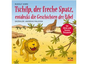 9783417288247 - Kinderbibel - Tschilp der freche Spatz entdeckt die Geschichten der Bibel2 Audio-CDs - Rudolf Horn (Hörbuch)