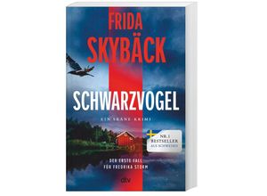 9783423263689 - Frida Skybäck - GEBRAUCHT Schwarzvogel Der erste Fall für Fredrika Storm Feinste Psychospannung von der schwedischen Elizabeth George - Preis vom 12112023 060208 h