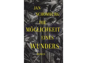 9783423290180 - Die Möglichkeit eines Wunders - Jan Schomburg Gebunden