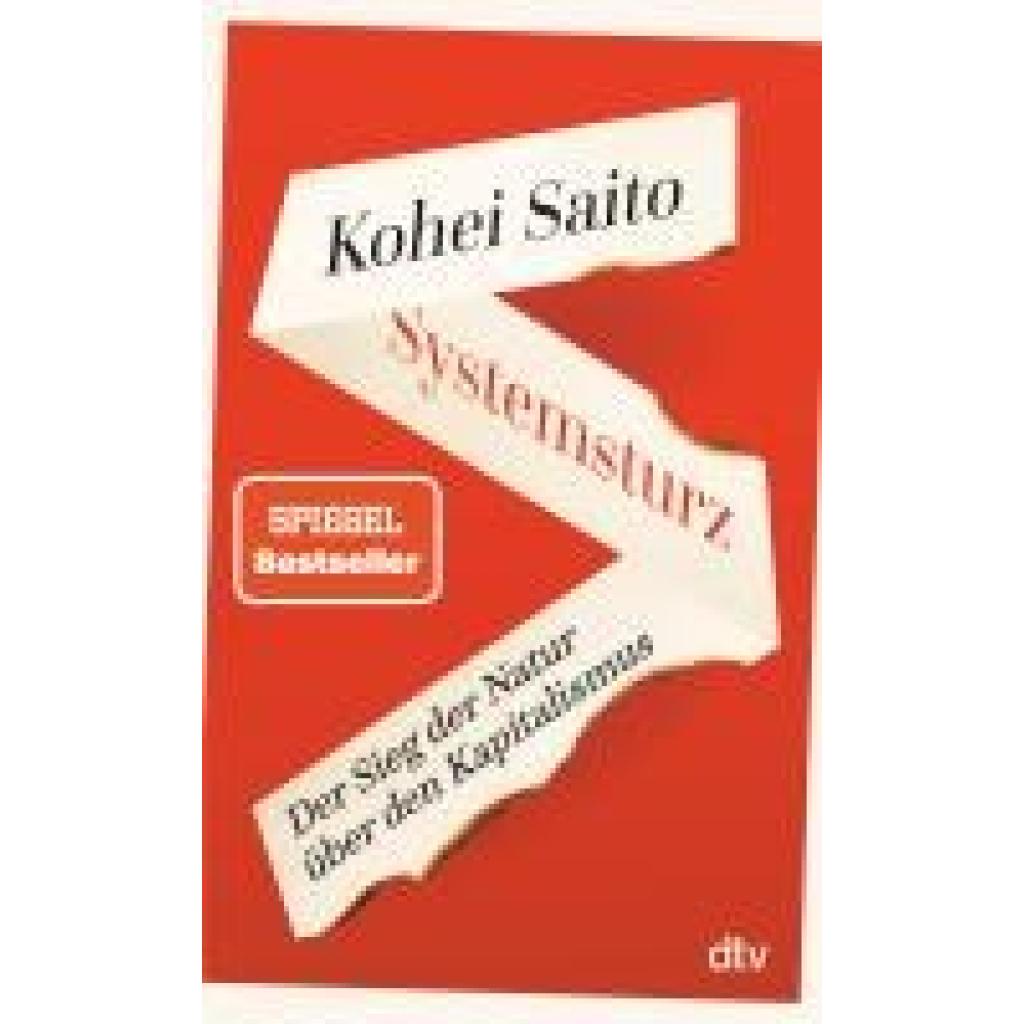 9783423352420 - Saito Kohei Systemsturz