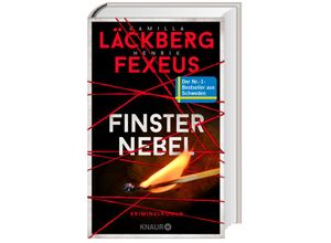 9783426227633 - Camilla Läckberg - GEBRAUCHT Finsternebel Kriminalroman Der Nr-1-Bestseller aus Schweden (Die Dabiri-Walder-Trilogie Band 2) - Preis vom 22102023 045847 h