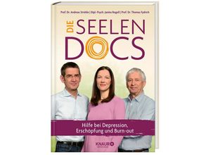 9783426659250 - Die Seelen-Docs - Andreas Ströhle Janina Rogoll Thomas Fydrich Gebunden