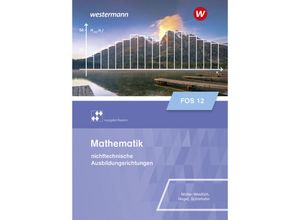 9783427484158 - Mathematik für Fachoberschulen und Berufsoberschulen - Ausgabe Bayern - Stefan Nagel Frank Schlehahn Daniel Müller Kartoniert (TB)