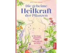 9783432109992 - Die geheime Heilkraft der Pflanzen - Maria Noel Groves Kartoniert (TB)