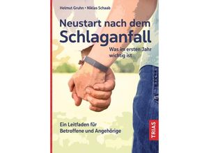 9783432117904 - Neustart nach dem Schlaganfall - Helmut Gruhn Niklas Schaab Kartoniert (TB)