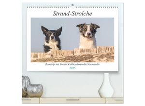 9783435000258 - Strand-Strolche (hochwertiger Premium Wandkalender 2025 DIN A2 quer) Kunstdruck in Hochglanz