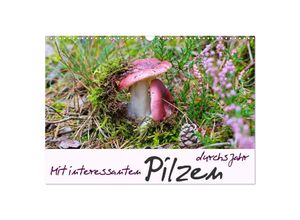 9783435000746 - Mit interessanten Pilzen durchs Jahr (Wandkalender 2025 DIN A3 quer) CALVENDO Monatskalender
