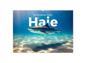 9783435000784 - Haie - Könige der Meere (Wandkalender 2025 DIN A2 quer) CALVENDO Monatskalender