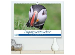 9783435001002 - Papageientaucher 2025 - Magische Vögel des Nordmeers (hochwertiger Premium Wandkalender 2025 DIN A2 quer) Kunstdruck in Hochglanz