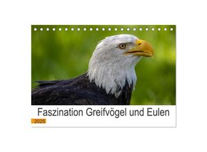 9783435001071 - Faszination Greifvögel und Eulen (Tischkalender 2025 DIN A5 quer) CALVENDO Monatskalender