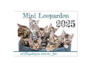 9783435001828 - Mini Leoparden - mit Bengalkätzchen durch das Jahr (Wandkalender 2025 DIN A2 quer) CALVENDO Monatskalender