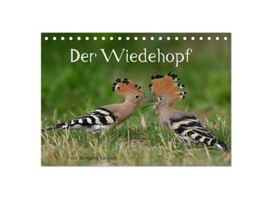 9783435002412 - Der Wiedehopf (Tischkalender 2025 DIN A5 quer) CALVENDO Monatskalender