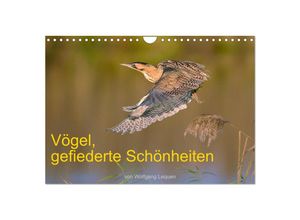 9783435004591 - Vögel Gefiederte Schönheiten (Wandkalender 2025 DIN A4 quer) CALVENDO Monatskalender