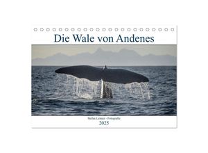 9783435005963 - Die Wale von Andenes (Tischkalender 2025 DIN A5 quer) CALVENDO Monatskalender