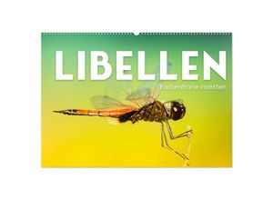 9783435007233 - Libellen - Farbenfrohe Insekten (Wandkalender 2025 DIN A2 quer) CALVENDO Monatskalender