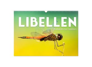 9783435007592 - Libellen - Farbenfrohe Insekten (Wandkalender 2025 DIN A3 quer) CALVENDO Monatskalender