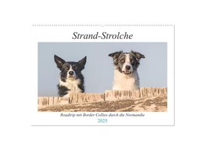 9783435007776 - Strand-Strolche (Wandkalender 2025 DIN A2 quer) CALVENDO Monatskalender