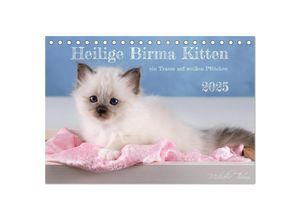 9783435008469 - Heilige Birma Kitten - ein Traum auf weißen Pfötchen (Tischkalender 2025 DIN A5 quer) CALVENDO Monatskalender