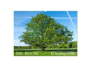 9783435009381 - Die Buche 12 Baumporträts (Wandkalender 2025 DIN A2 quer) CALVENDO Monatskalender