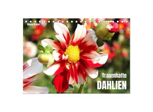 9783435009510 - Traumhafte Dahlien (Tischkalender 2025 DIN A5 quer) CALVENDO Monatskalender