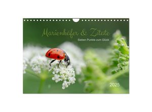 9783435010653 - Marienkäfer & Zitate - Sieben Punkte zum Glück (Wandkalender 2025 DIN A4 quer) CALVENDO Monatskalender