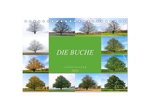 9783435010882 - Die Buche Jahresplaner 2025 (Tischkalender 2025 DIN A5 quer) CALVENDO Monatskalender