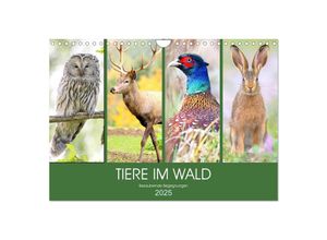 9783435011278 - Tiere im Wald Bezaubernde Begegnungen (Wandkalender 2025 DIN A4 quer) CALVENDO Monatskalender