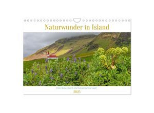 9783435012008 - Naturwunder in Island (Wandkalender 2025 DIN A4 quer) CALVENDO Monatskalender