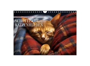 9783435012091 - Schottische Katzenhelden (Wandkalender 2025 DIN A4 quer) CALVENDO Monatskalender