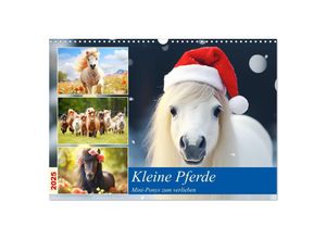 9783435012138 - Kleine Pferde Mini-Ponys zum verlieben (Wandkalender 2025 DIN A3 quer) CALVENDO Monatskalender