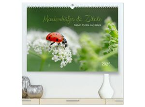 9783435012435 - Marienkäfer & Zitate - Sieben Punkte zum Glück (hochwertiger Premium Wandkalender 2025 DIN A2 quer) Kunstdruck in Hochglanz