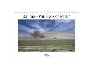 9783435012503 - Bäume - Wunder der Natur (Wandkalender 2025 DIN A4 quer) CALVENDO Monatskalender