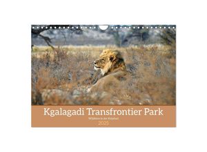 9783435012732 - Kgalagadi - Fauna und Wildtiere in der Kalahari (Wandkalender 2025 DIN A4 quer) CALVENDO Monatskalender