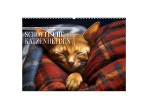 9783435013159 - Schottische Katzenhelden (Wandkalender 2025 DIN A2 quer) CALVENDO Monatskalender